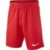 Nike Dri-FIT Park III Voetbalshort Rood KIDS