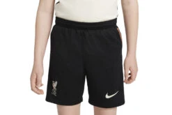 Nike Liverpool FC 2021/22 Uitshort KIDS