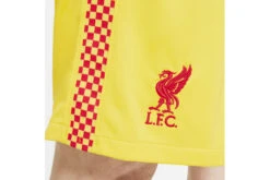 Nike Liverpool FC 2021/22 Stadium Derde Short Heren -Goedkope Bal Meester Winkel 37099448 3