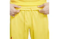 Nike Liverpool FC 2021/22 Stadium Derde Short Heren -Goedkope Bal Meester Winkel 37099448 4