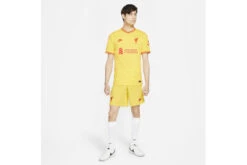 Nike Liverpool FC 2021/22 Stadium Derde Short Heren -Goedkope Bal Meester Winkel 37099448 5