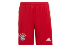 Adidas FC Bayern München 22/23 Thuisshort KIDS