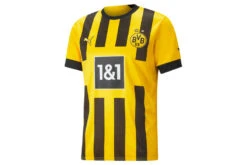 Puma Borussia Dortmund 22/23 Thuisshirt Heren