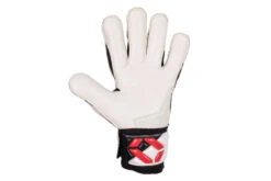 Stanno Hardground RFH IV Keepershandschoenen Wit Heren 7 Stanno Hardground RFH IV Keepershandschoenen Wit Heren -Goedkope Bal Meester Winkel 37105164 4