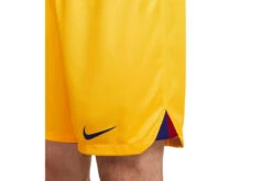 Nike FC Barcelona 2022/23 Stadium Vierde Short Amarillo/Deep Royal Blue Heren 9 Nike FC Barcelona 2022/23 Stadium Vierde Short Amarillo/Deep Royal Blue Heren -Goedkope Bal Meester Winkel 37107609 4