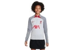 Nike Liverpool FC Strike Sweatshirt Wolf Grey/Smoke Grey/Tough Red