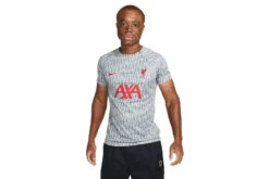 Nike Liverpool FC Voetbalshirt Wolf Grey/Tough Red Heren