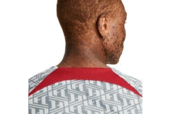 Nike Liverpool FC Voetbalshirt Wolf Grey/Tough Red Heren -Goedkope Bal Meester Winkel 37107649 3