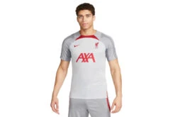 Nike Liverpool FC Strike Voetbalshirt Wolf Grey/Smoke Grey/Tough Red Heren