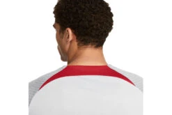 Nike Liverpool FC Strike Voetbalshirt Wolf Grey/Smoke Grey/Tough Red Heren 9 Nike Liverpool FC Strike Voetbalshirt Wolf Grey/Smoke Grey/Tough Red Heren -Goedkope Bal Meester Winkel 37107651 4
