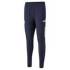 Puma Manchester City FC Prematch Trainingsbroek Blauw Heren